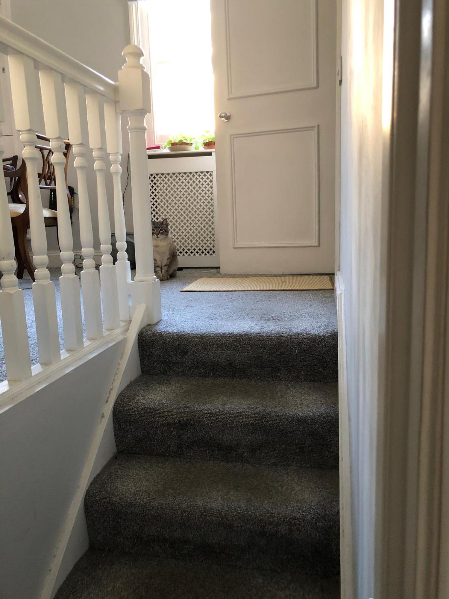 Shared House - Private With Dedicated Guest Bathroom Near Paddington Homestay *